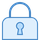 Data Security Icon